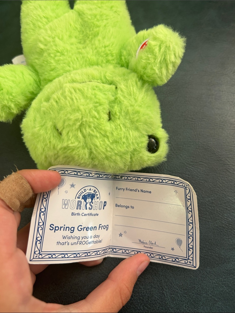 Build-A-Bear Mini Beans Frogs - Picture 16 of 16